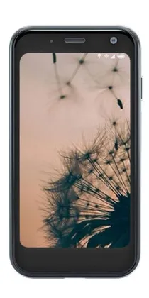 Palm Pepito