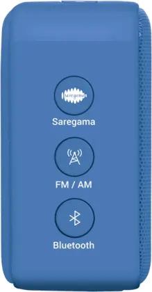 Saregama Carvaan Mini Ilaiyaraaja 5W Portable Speaker