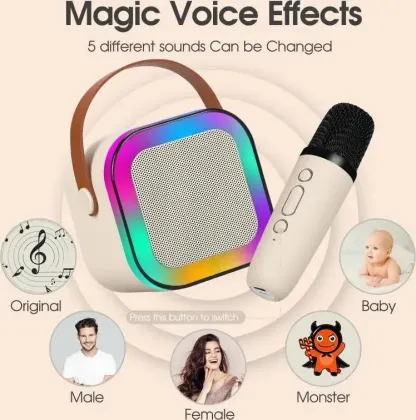 Fire Turtle ‎K12 Karaoke 10W Bluetooth Speaker