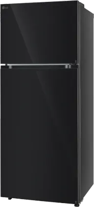 LG GLT4026SNBM 398 L 2 Star Double Door Refrigerator