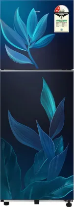 Samsung RT40H28U2PB 236 L 2 Star Double Door Refrigerator