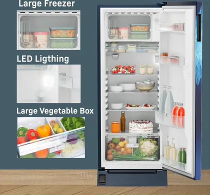 Liebherr ‎‎‎DFPlmE 2221 222 L 5 Star Single Door Refrigerator