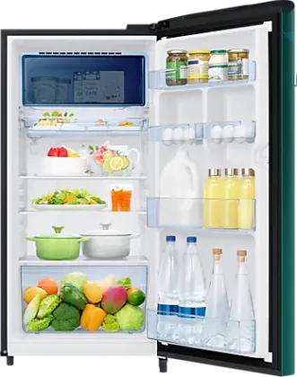 Samsung RR21C2E25NL 189 L 5 Star Single Door Refrigerator