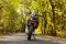 Benelli TRK 251