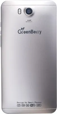 GreenBerry Passport P9