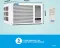 Blue Star WFE318P 1.5 Ton 3 Star 2025 Window AC