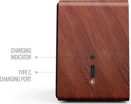 Saregama Carvaan Mini Plus 5W Bluetooth Speaker