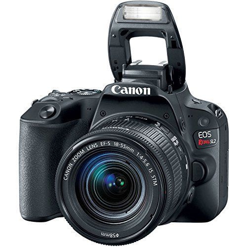 Canon Eos Rebel Sl2 Dslr Camera Ef S 18 55mm 75 300mm Lens Best Price In India 21 Specs Review Smartprix