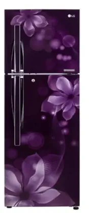 LG GL-F282RPOY 255L 3 Star Double Door Refrigerator