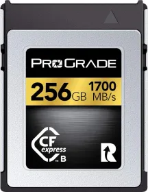 Prograde Digital 256GB CFexpress 2.0 Type B Memory Card (PGCFX256GAPNA)