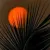 shankara N