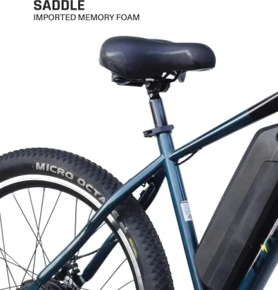 Neelam N.E 2.9 Single Speed 29T 10.4Ah Electric Cycle