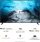 Xiaomi Redmi X55 55-inch Ultra HD 4K Smart LED TV (L55M6-RA)