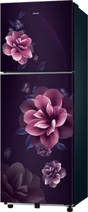 Samsung RT40H28W1CP 236 L 1 Star Double Door Refrigerator