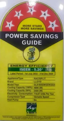 Lloyd GLS18I5GWGEW 1.5 Ton 5 Star 2024 Inverter Split AC