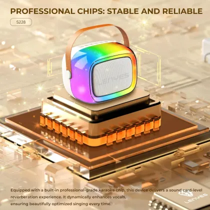 Lenyes S228 20W Bluetooth Speaker