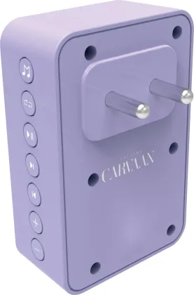 Saregama Carvaan Wellness Plug Play 3W Bluetooth Speaker