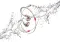 TCL ACTV100BT Neckband Earphones