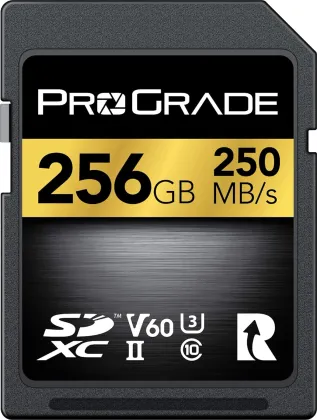 Prograde Digital 250R 256GB SDXC UHS-II Memory Card - image 2