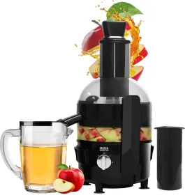 Inalsa Duronic 650 650W Juicer