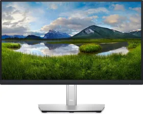 Dell P2422H 21.5-inch Full HD Monitor