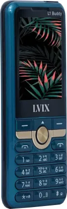 Lvix L1 Buddy