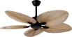 Aera Treen-03 1320 mm 5 Blade Ceiling Fan