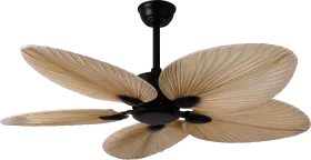 Aera Treen-03 1320 mm 5 Blade Ceiling Fan