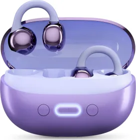 ACwO DwOTS Flow 2 True Wireless Earbuds