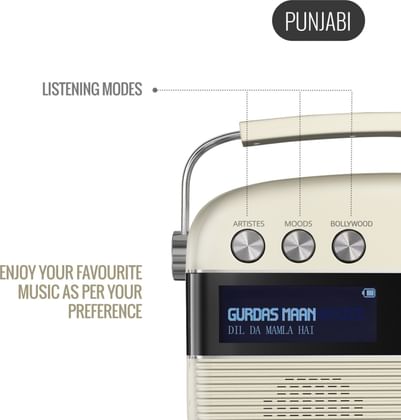 Saregama Caravan Punjabi 6W Portable Speaker