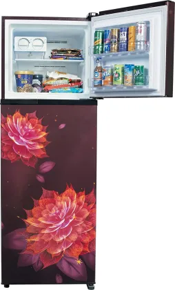 Lloyd GLFF292ASRT1PB 283 L 2 Star Double Door Refrigerator