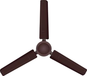 Croma Eco CRSFEB1CFB247702 1200 mm 3 Blade Ceiling Fan