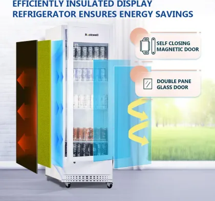 Rockwell RVC320A 240 L Single Glass Door Visi Cooler