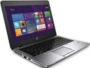 HP Elitebook 820 G3 (T7Z94PA) Laptop (5th Gen Ci5/ 4GB/ 256GB SSD/ Win8.1)