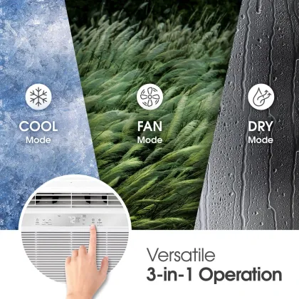 LG LW8024R 8000 BTU 115V Window AC