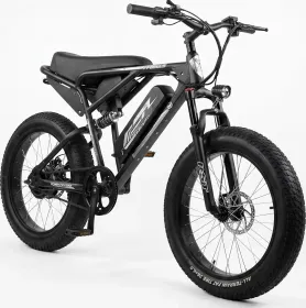 Vigor ZX Electric Cycle