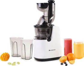 Wonderchef Regenta 240W Full Fruit Cold Press Juicer