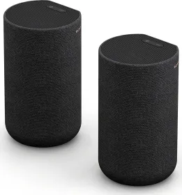 Sony SA-RS5 Wireless Dual Rear Speaker