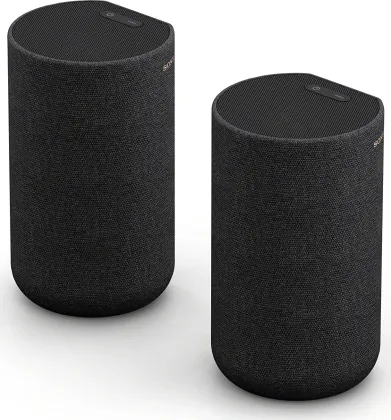 Sony SA-RS5 Wireless Dual Rear Speaker