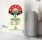 IFB IFBDC-223EYBSE 197 L 5 Star Single Door Refrigerator