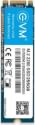 EVM EVSSDM.2 256 GB Internal Solid State Drive