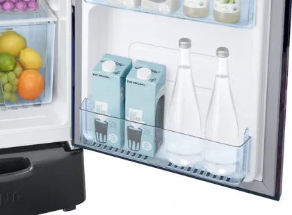 Samsung RR20F2825BB 183 L 5 Star Single Door Refrigerator