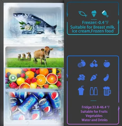 LEONARD ‎LE-USA-122DD 122 L Double Door Mini Refrigerator