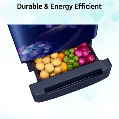 Samsung RR23H2H35HS 215 L 5 Star Single Door Refrigerator