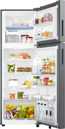 Samsung RT40H30U2PN 256 L 2 Star Double Door Refrigerator