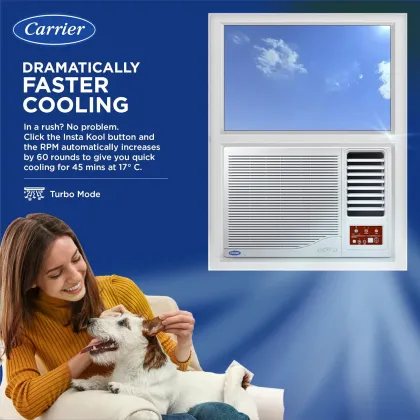 Carrier CAW12SC3R34F0 1 Ton 3 Star 2024 Window AC