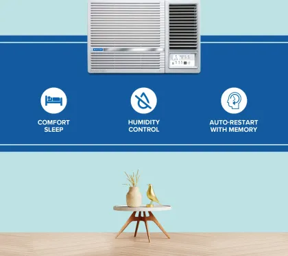 Blue Star WIE318L 1.5 Ton 3 Star 2025 Inverter Window AC