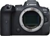 Canon EOS R6 Mirrorless Camera