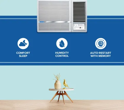 Blue Star WFA312LXU 1 Ton 3 Star 2026 Window AC