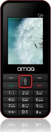 AMAQ Q9